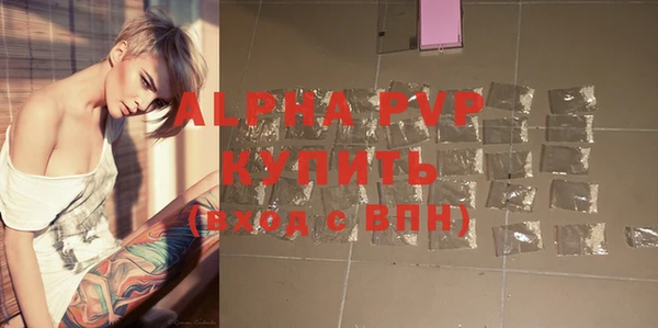 ГАЛЛЮЦИНОГЕННЫЕ ГРИБЫ Корсаков
