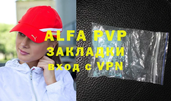 ГАЛЛЮЦИНОГЕННЫЕ ГРИБЫ Корсаков