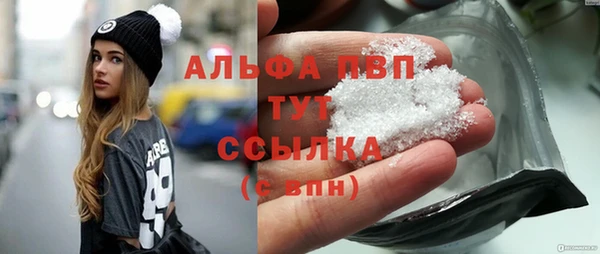ГАЛЛЮЦИНОГЕННЫЕ ГРИБЫ Корсаков