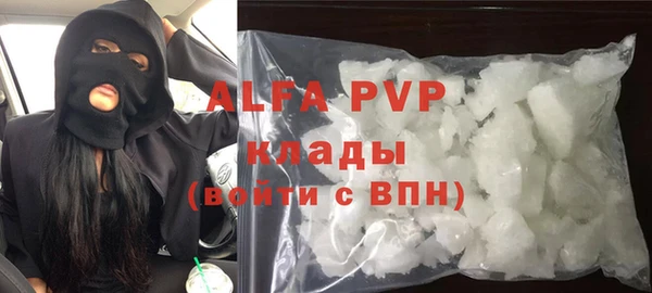 ГАЛЛЮЦИНОГЕННЫЕ ГРИБЫ Корсаков