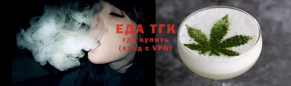 ГАЛЛЮЦИНОГЕННЫЕ ГРИБЫ Корсаков