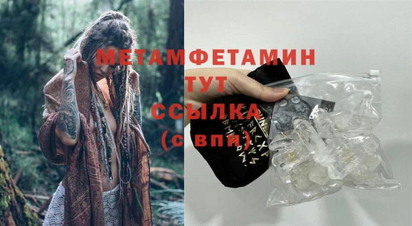 ГАЛЛЮЦИНОГЕННЫЕ ГРИБЫ Корсаков