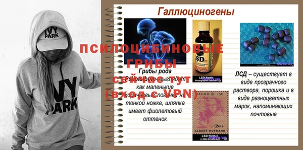 ГАЛЛЮЦИНОГЕННЫЕ ГРИБЫ Корсаков