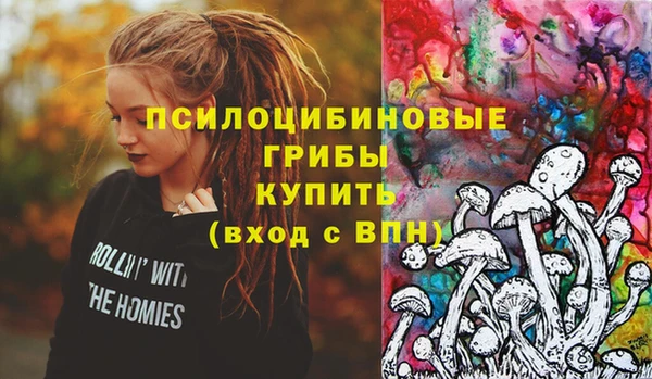 ГАЛЛЮЦИНОГЕННЫЕ ГРИБЫ Корсаков