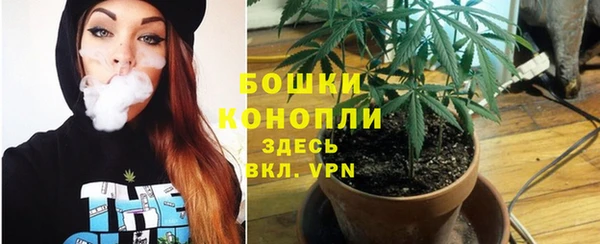спиды Коряжма