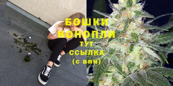 ГАЛЛЮЦИНОГЕННЫЕ ГРИБЫ Корсаков